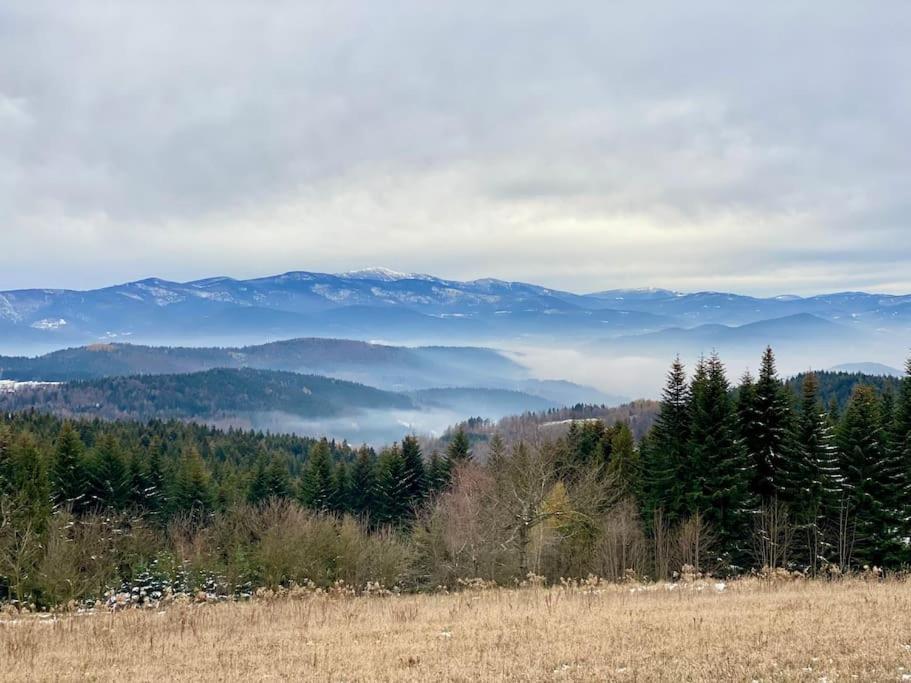 Blizej Nieba Koskowa Gora Villa Bogdanowka Luaran gambar