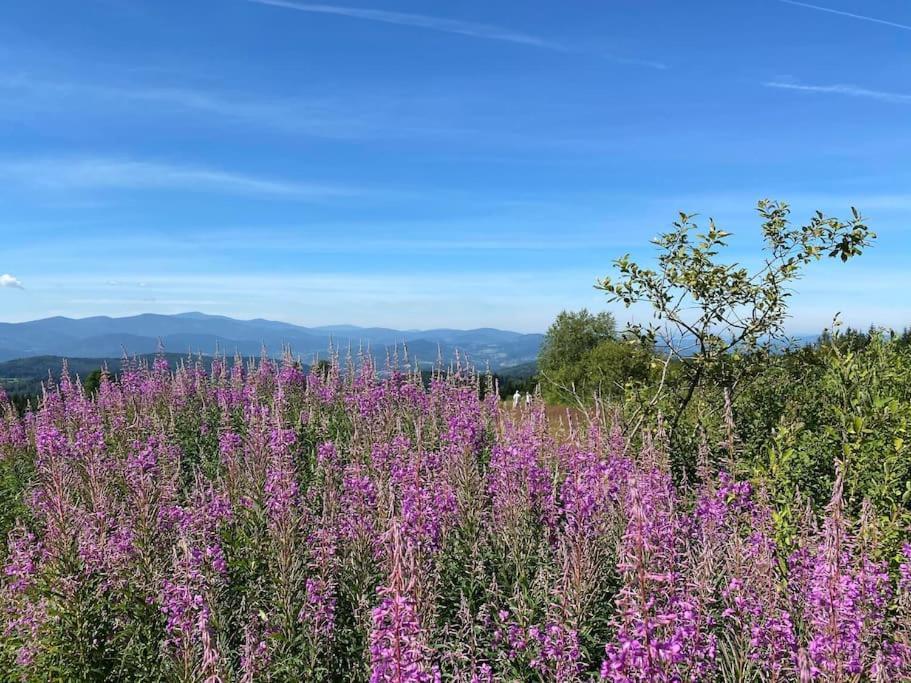 Blizej Nieba Koskowa Gora Villa Bogdanowka Luaran gambar