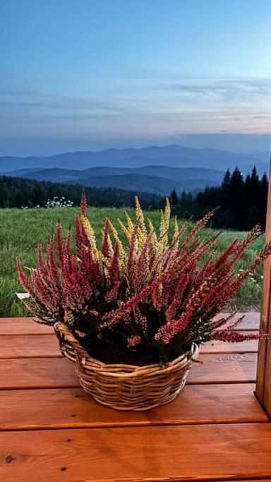 Blizej Nieba Koskowa Gora Villa Bogdanowka Luaran gambar