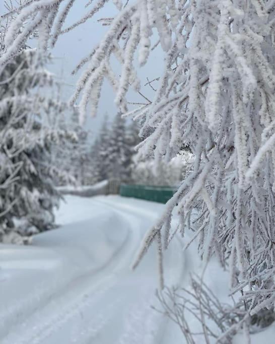 Blizej Nieba Koskowa Gora Villa Bogdanowka Luaran gambar